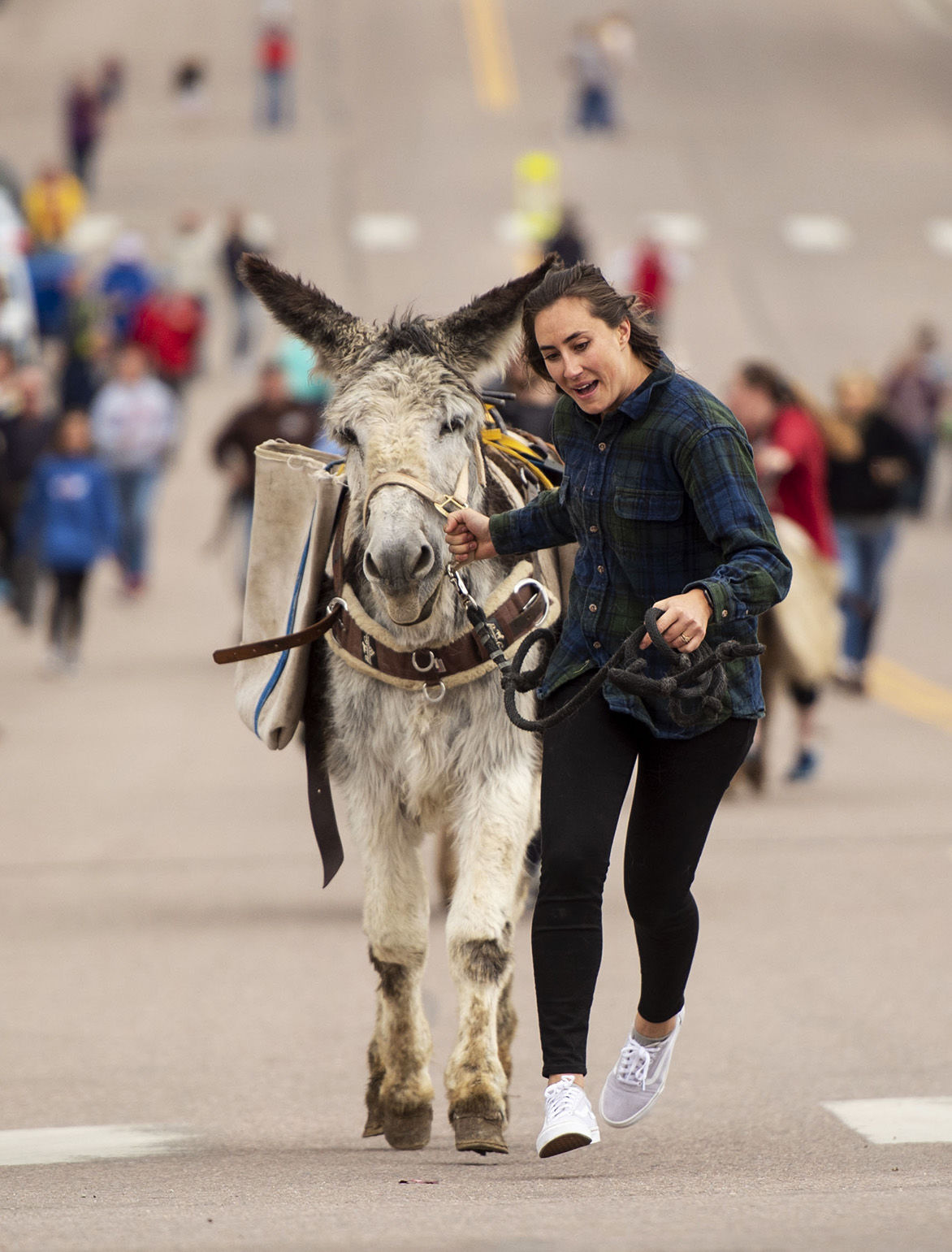 062419-news-DonkeyDerby 16.jpg